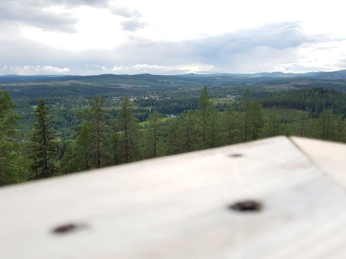 Bjoernforsens Turist & Konferenshotell, Naera Husum, Oernskoeldsvik Bjorna Bagian luar foto